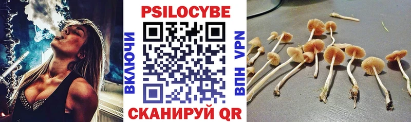 купить   Нелидово  Галлюциногенные грибы мухоморы 